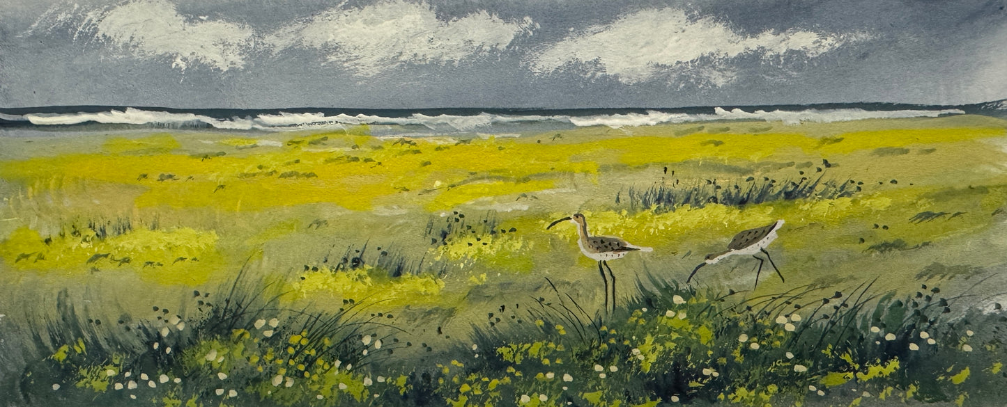 Curlews on the Moors Watercolour painting by Stephen Allen