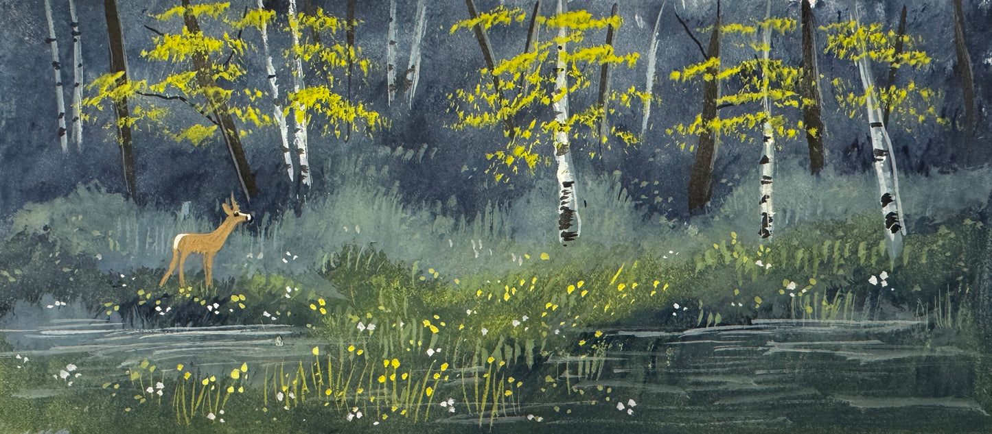 Roe Deer and Birches Watercolour painting by Stephen Allen