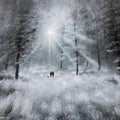 Light Glow Fine Art Limited Edition Print