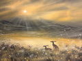 Morning Light Fine Art Limited Edition Print