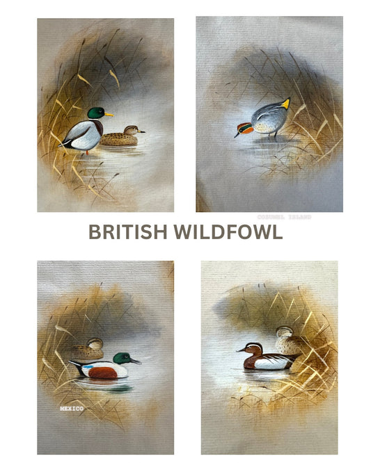 British Ducks New Designed Print