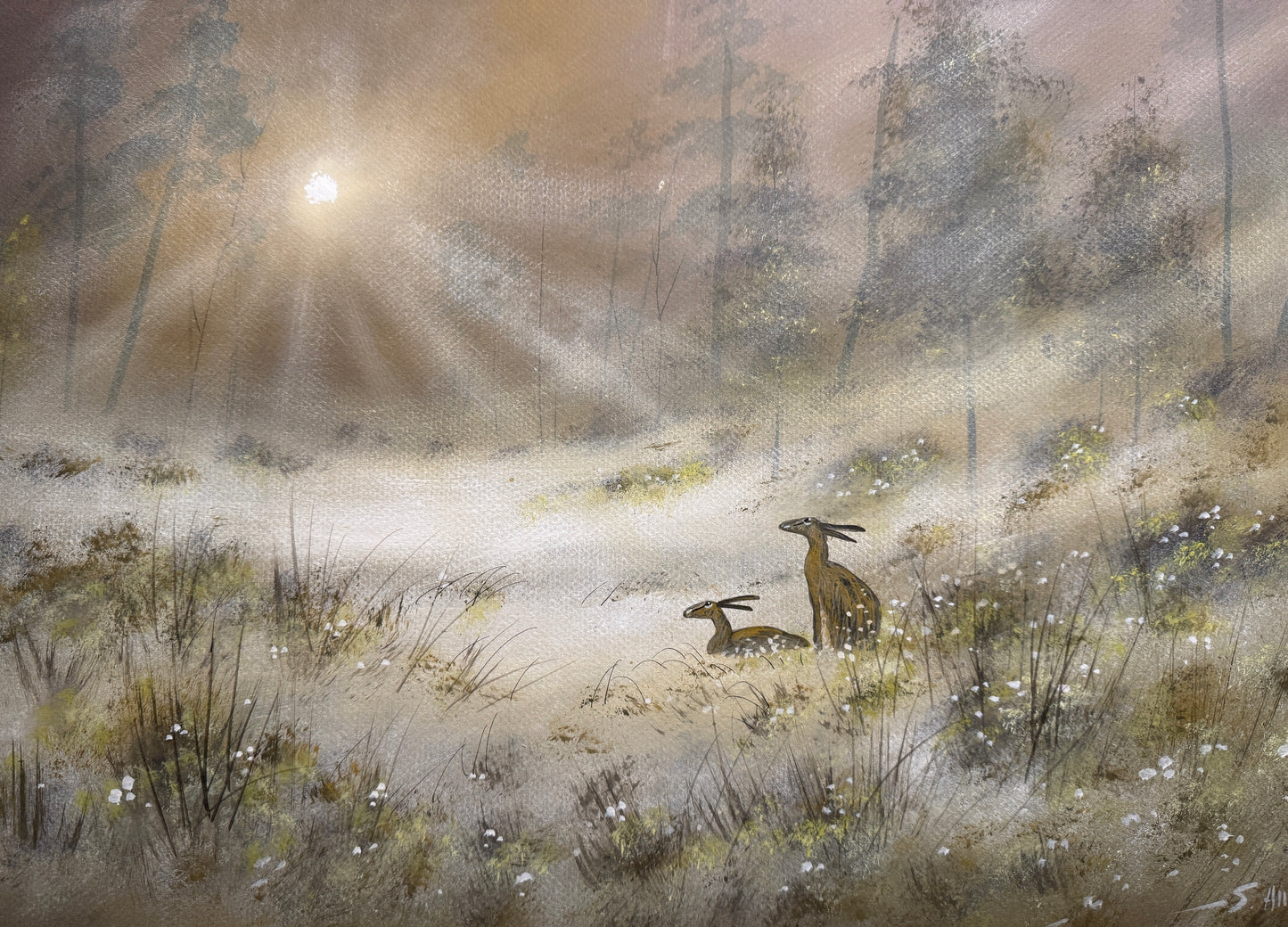 Hares in the Light Fine Art Limited Edition Print by Stephen Allen