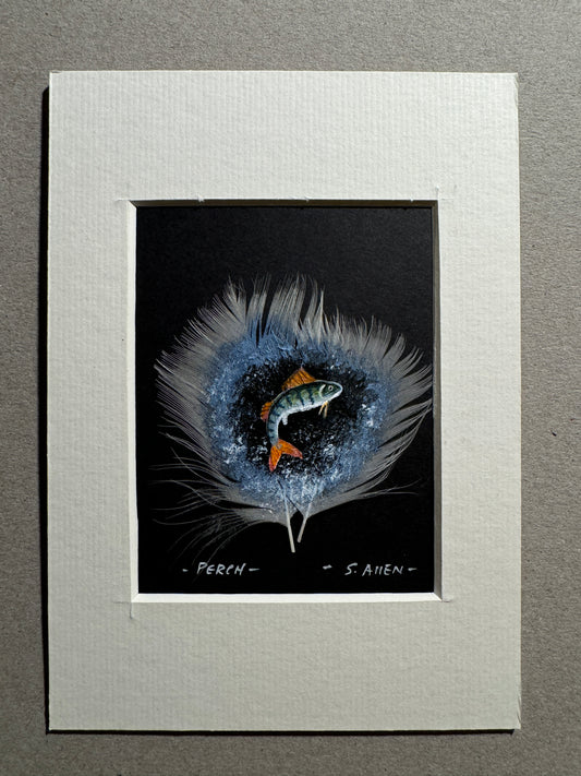 Perch Fish Feather Painting by Stephen Allen