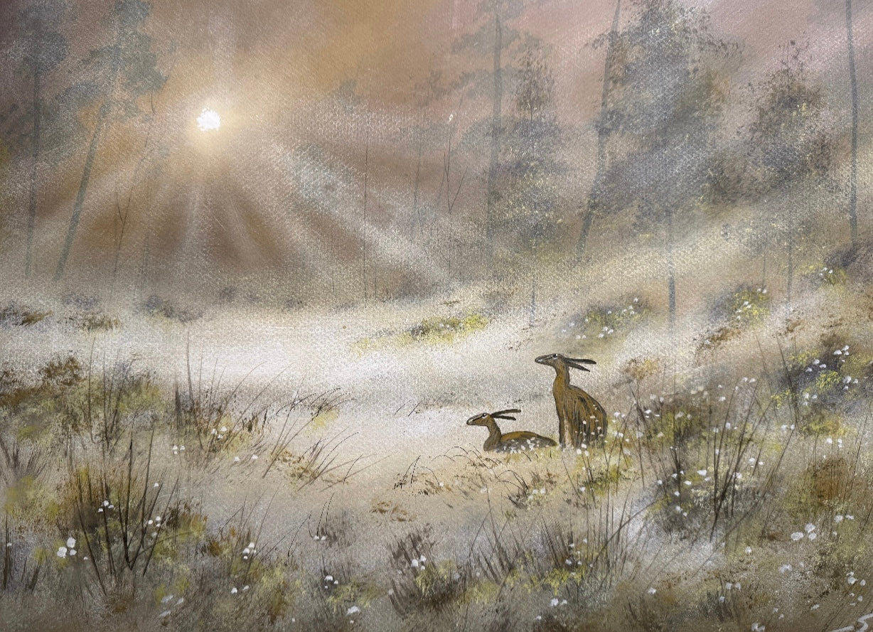 Hares in the Light Fine Art Limited Edition Print by Stephen Allen