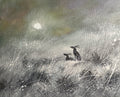 Tranquility Fine Art Limited Edition Print